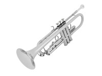 Amadeus TP 807N Nickel Amadeus TP 807N Nickel